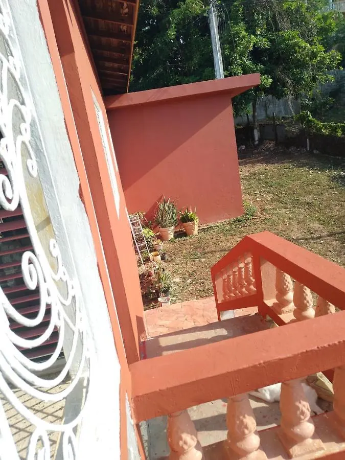 Mango Walk Homestay Montego Bay Jamaica