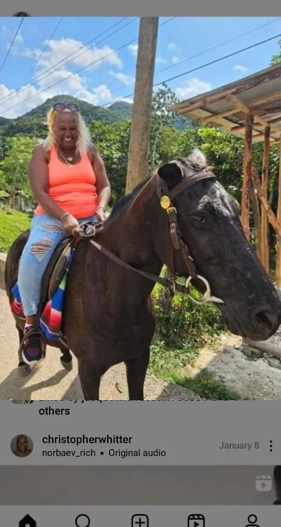 Mango Walk Homestay Montego Bay 0*,