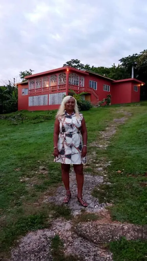 Mango Walk Homestay Montego Bay