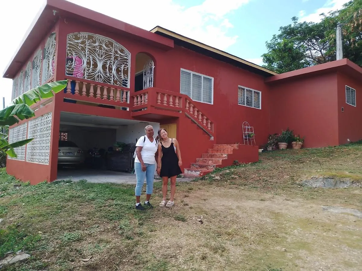 Mango Walk Homestay Montego Bay 0*,