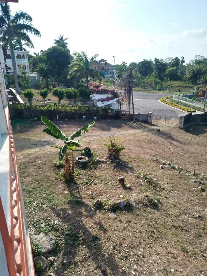Mango Walk Homestay Montego Bay Jamajka