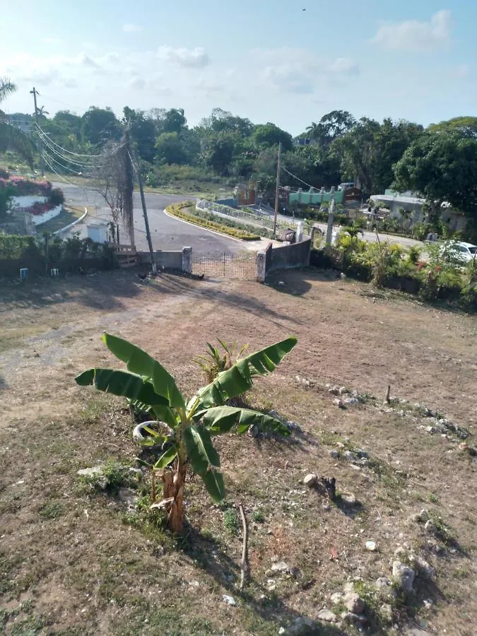 Mango Walk Homestay Montego Bay 0*,  Jamajka